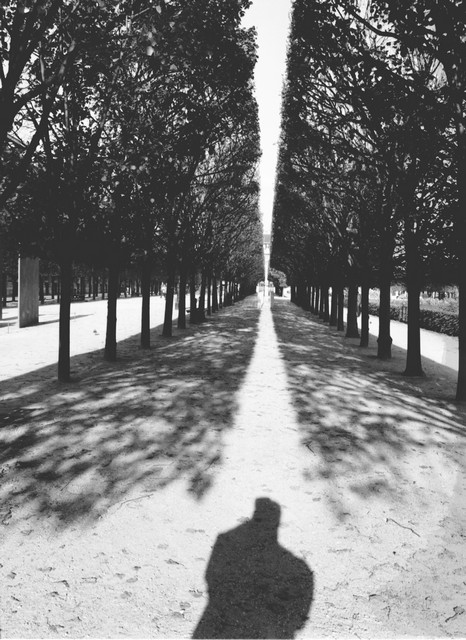 Stanko Abadžic - Trees and Shadows