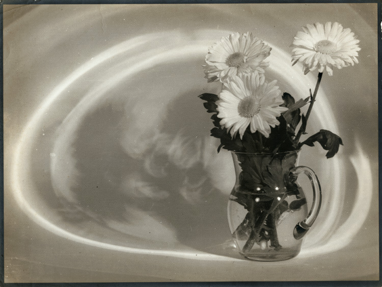 Still Life with Pitcher and Daisies