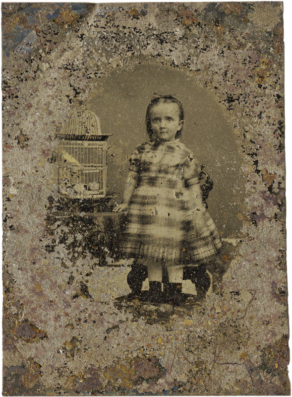 Charles Schwartz - Light Reclaimed - Little Girl with Birdcage