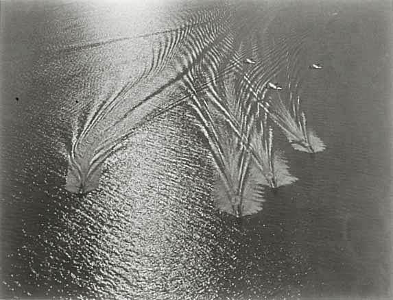 Khalip (Haleb Yakov) - Quad #64, Baltic Sea