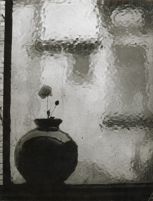 Vase in the Window