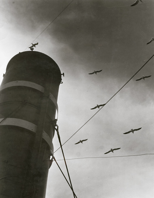 Jindrich Marco - Untitled (Ship's Smokestack and Gulls)