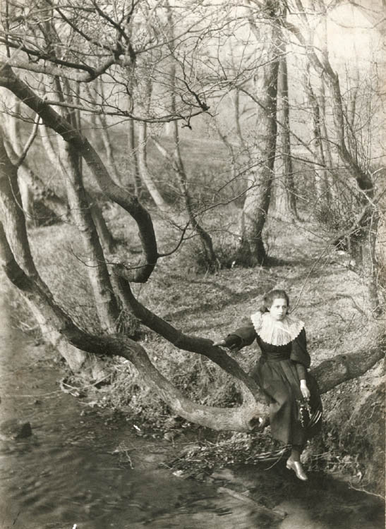 Girl in Tree by Stream, Epping Forest, England