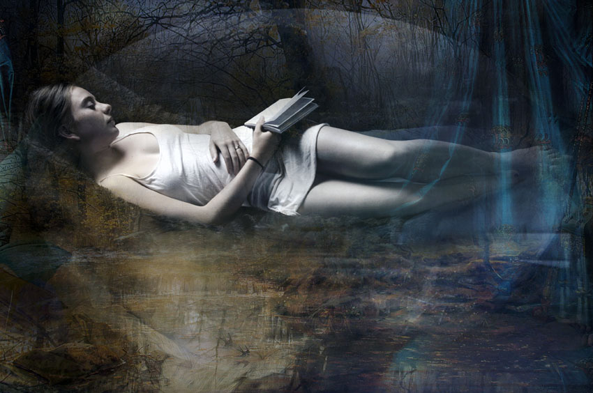 Lisa Holden - Reading Lisa Holden - Reading