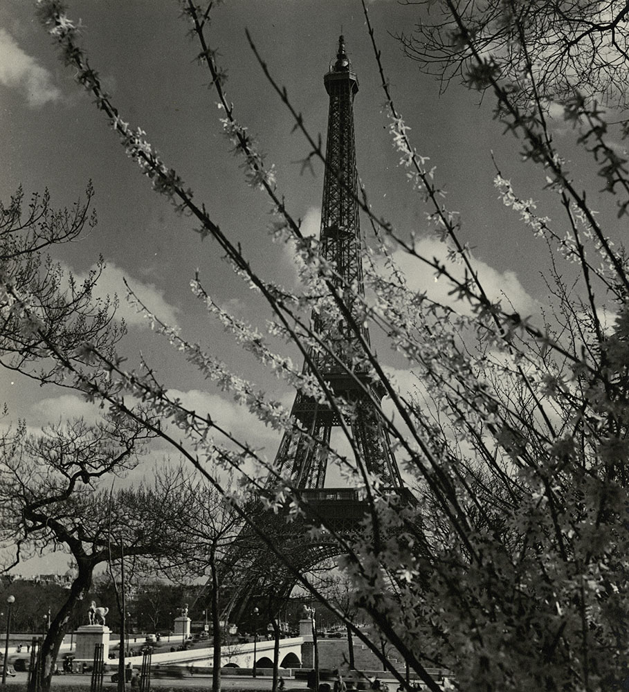 Albert Monier - Eiffel Tower in Spring, Paris