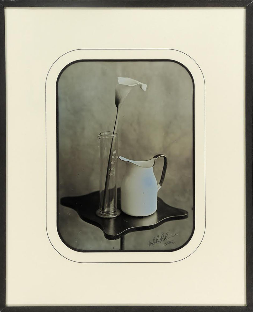 Mike Robinson - Lily & Pitcher 1