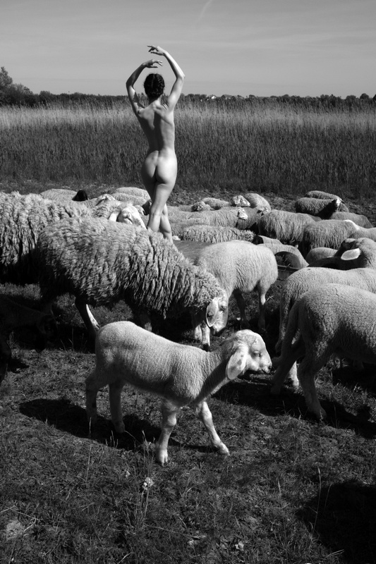 Stanko Abadžic - Unexpected Meeting (Female Nude among the Sheep in Serbia)