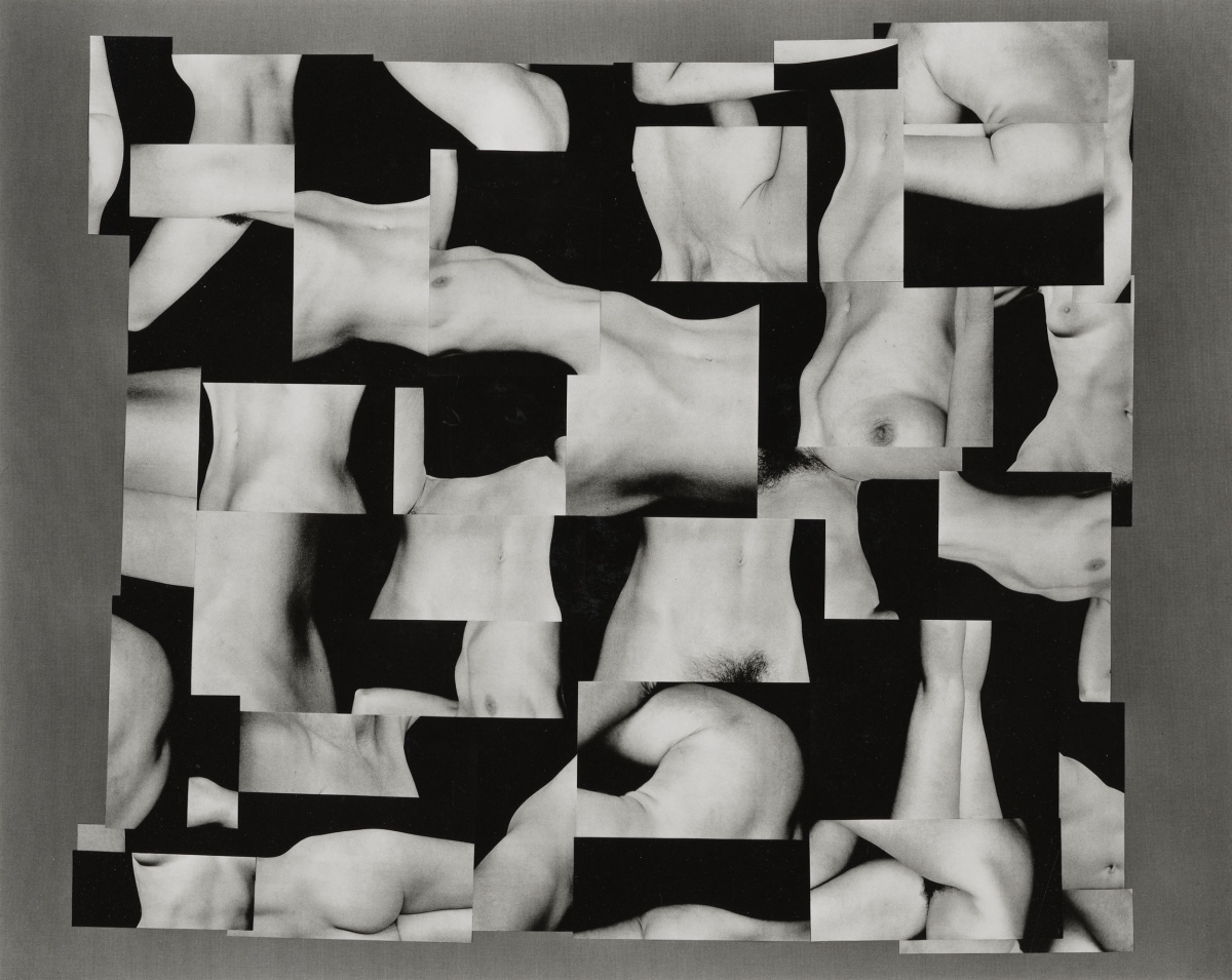 Paula Chamlee - Nude Collage #1