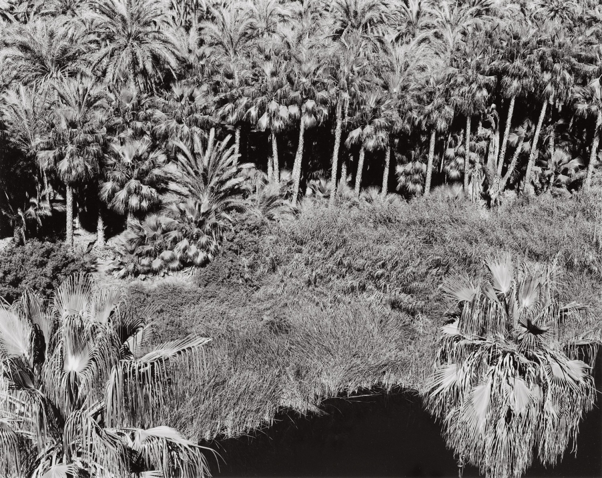 Paula Chamlee - Mulegé, Baja California, Mexico, 2003