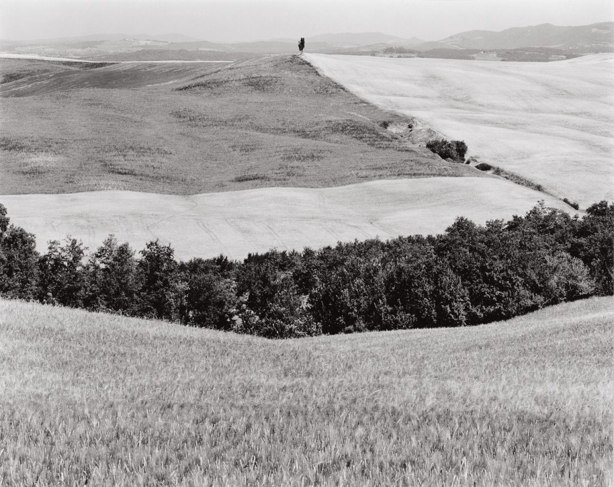 Paula Chamlee - Le Crete region, Tuscany, 1999