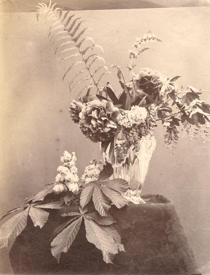 Anonymous - Still Life Anonymous - Still Life