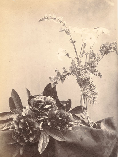 Anonymous (French) - Still Life of Flowers