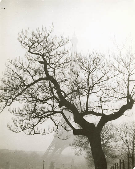 Geza Vandor - Tree in Front of Eiffel Tower, Paris