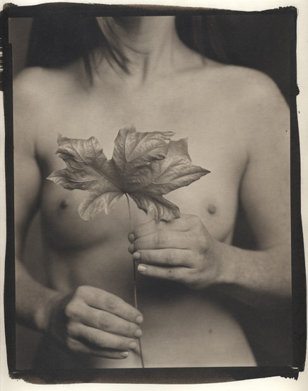 Ray Bidegain - Maple Leaf and Female Nude