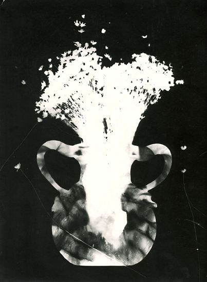 George A. Eisenman - Photogram of Vase and Straw Flowers